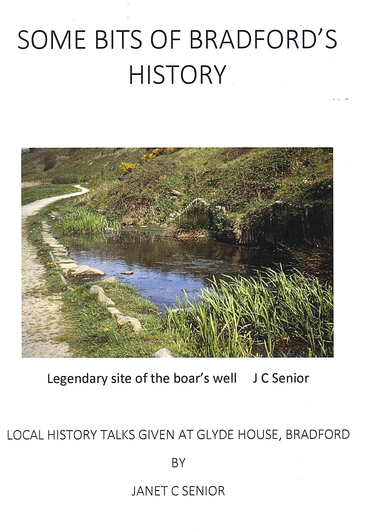 Janet Senior book.jpg