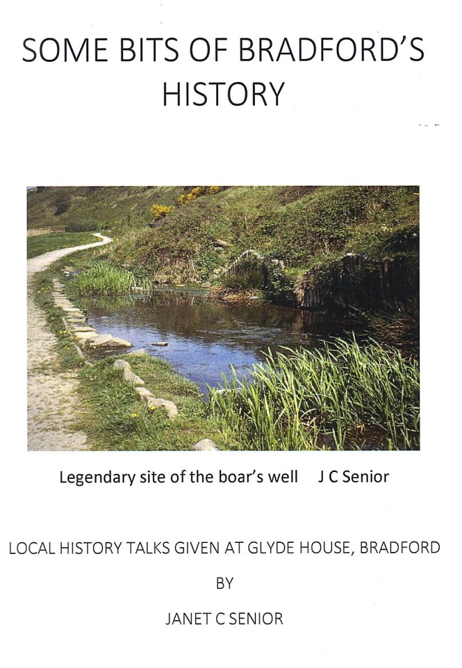 Janet Senior book.jpg